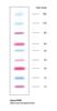 HyperPAGE Prestained Protein Marker, broad range 10-190kDa, 9 prestained bands (500 µl, 100 lanes minigels)