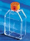 Fiasche TC 25 cm², polistirene trattato (PS), tappo a vite ventilato con filtro, sterili, apirogene (200 pz)