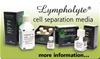 Lympholyte Rat (100 ml)