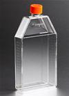 Fiasche TC 150 cm², polistirene trattato (PS), tappo a vite ventilato con filtro, sterili, apirogene (50 pz)
