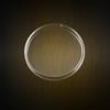 Piastre Petri per batteriologia Biocult diam. 120 mm, polistirene, ventilate sterili (320 pz)