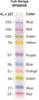 Rainbow Molecular Weight Markers, full-range Mr 12000 to 225000, ten separate proteins with six different colors (250 µL, 50 minigels)