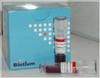 GelRed Nucleic Acid Gel Stain 10.000x in water (0,5mL)