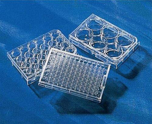 Micropiastre 96 pozzetti, attacco Ultra-basso, polistirene (PS), volume 360 µL, diam. 0.64 cm, fondo piano, colore trasparente, sterile (24 pz)