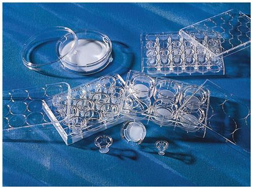 Piastre con membrana in policarbonato puro, 24 pozzetti, trattato TC, diam. 6.5 mm, pore size 8.0 µm, con coperchio, sterili (48pz)