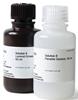 Amersham ECL Prime Western Blotting Detection Reagent (1000 cm2 membrane)