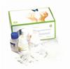 GFX PCR DNA and Gel Band Purification Kit (100 reax)