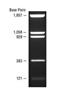 pBR322 DNA-BstNI DIgest (13 to 1,857 bp), (0.05 mL)