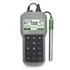 Misuratore portatile di pH/ORP/ISE/Temp. a tenuta stagna, display grafico, scala estesa (da -2.000 a 20.000 pH; ±2000 mV; ISE da 1.0 E-7 a 9.99 E10), calibra. 5 punti, memoria dati, interfaccia USB, con elettrodo pH HI72911B, solu. calib. di pulizia
