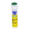 Precision Plus Protein WesternC Blotting Standards, (250 µl)