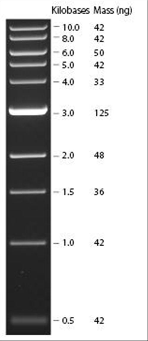 1 kb DNA Ladder (500 to 10,002 bp), (0.2 mL) .