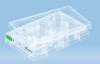Piastre 6 pozzetti TC, polistirene (PS), per colture cellulari in sospensione, fondo piatto, sterili singolarmente, apirogene (50 pz)