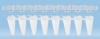 Strisce di 8 microprovette per PCR, Low profile, bianco, base conica, Polipropilene (PP), con tappi separati, certificate DNAse/RNAse free (125 pz)