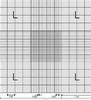 Camera contaglobuli di Neubauer, con doppio reticolo, senza pinzette (1 pz)