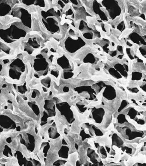 Membrane filtranti Millipore PVDF, diam. 47 mm, bianche, porosita 0.22 um (100pz)