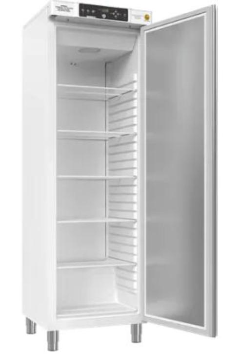Congelatore verticale da laboratorio GRAM Biobasic RF410, capacità 346 Litri, temp. range -5°C -25°C, display digitale, allarmi acustici e visivi, porta cieca, 6 ripiani, sistema ventilazione, sbrinamento automatico, con ruote dim.595 x 640 x 1876 mm 