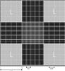 Camera contaglobuli di Neubauer, linee luminose, con doppio reticolo, senza pinzette (1 pz)