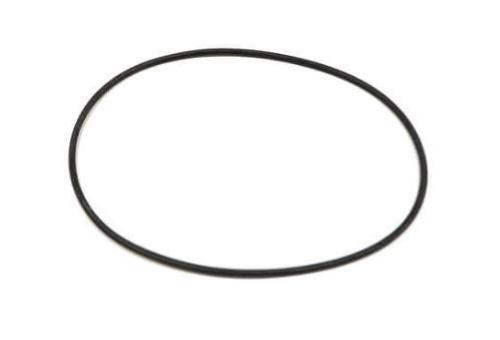 O-ring per bicchiere rortondo (10 pz)