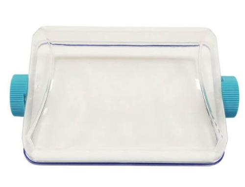 Kit coperchio bicchiere 30553104 PC, (2 pz)