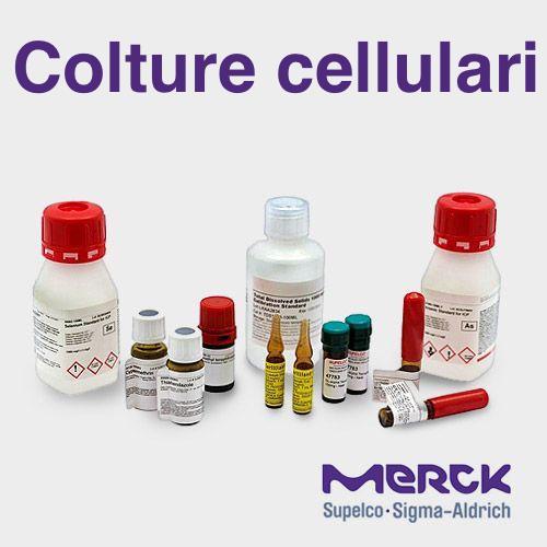 Arg-Gly-Asp,=97% (TLC)