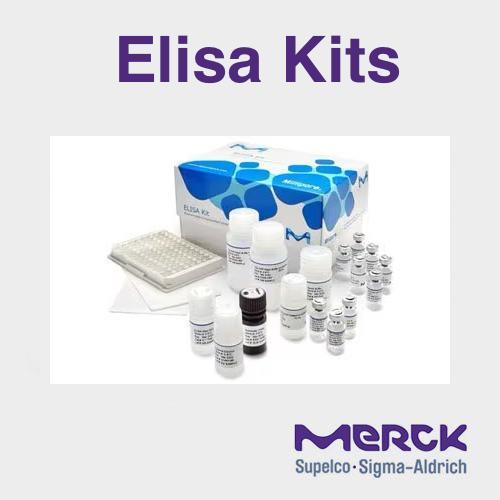 Amplifluor® SNPs Genotyping System for Assay Development,