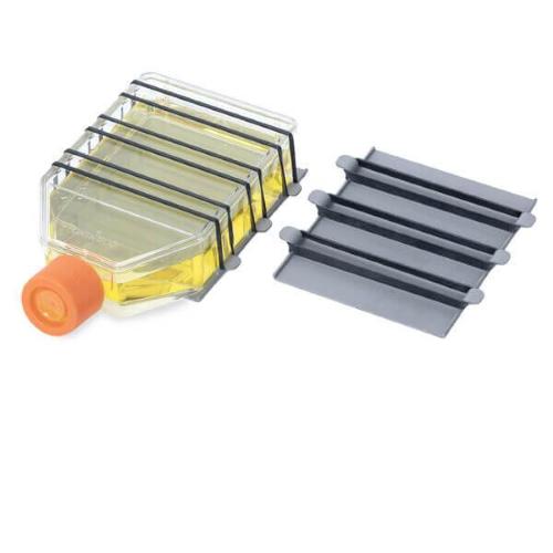 2 piastre universali