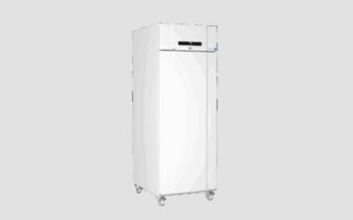 Congelatore da laboratorio GRAM BioCompact ll RF610 LG 10, capacità 586 litri, temp. -5°C -25°C, display digitale, sistema ventilazione forzata, porta cieca, allarmi acustici visivi, rum.48.6 db, dim.207.5x69.5x87.5 cm