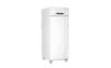 Frigorifero da laboratorio GRAM BioCompact ll RR610 LG 10, capacità 586 litri, temp. +2°C +20°C, display digitale, sistema ventilazione forzata, porta cieca, allarmi acustici visivi, rum.48.6 db, dim.207.5x69.5x87.5 cm