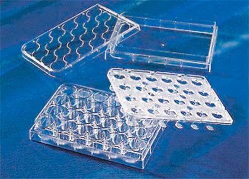 Supporti permeabili a 24 pozzetti HTS Transwell Corning, pori da 3.0 µm, membrana in PC, inserti da 6.5 mm, sterile (12 pz)