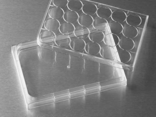 Piastre per coltura cellulare Costar HTS Transwell Corning, trattata TC, sterile (48 pz)