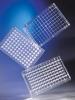 Supporti permeabili a 96 pozzetti HTS Transwell Corning, pori da 0.4 µm, membrana in PET, trattato TC, sterile (5 pz)
