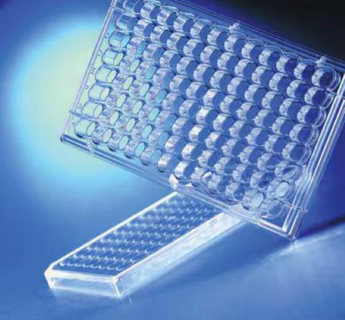 Supporti permeabili a 96 pozzetti HTS Transwell Corning, pori da 1.0 µm, membrana in PET, trattato TC, sterile (1 pz)