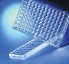 Supporti permeabili a 96 pozzetti HTS Transwell Corning, pori da 8.0 µm, membrana in PET, trattato TC, sterile (2 pz)