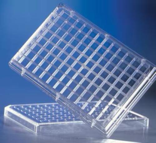 Piastre accessorio 96 pozzetti HTS Transwell Corning, PET, non trattato, fondo piatto, sterile (10 pz)