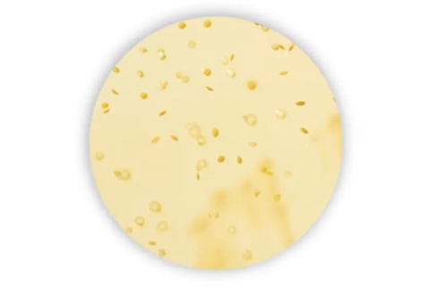 MRS (de Man Rogosa Sharpe) Agar 500g