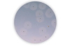 Baird-Parker + RPF Agar Kit