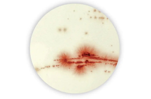 YGC Agar 6x100mL bottles