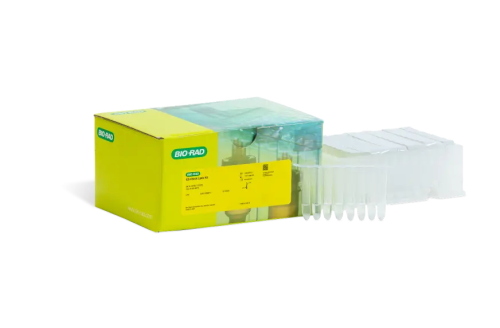 EZ-Check Lysis Kit      