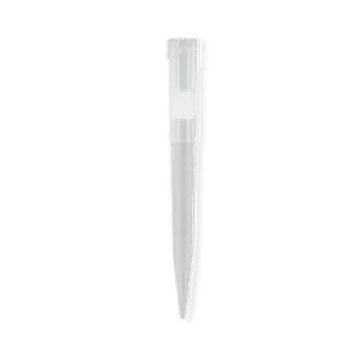 XCLUDA STYLE E TIP 960/BX FSD XTU