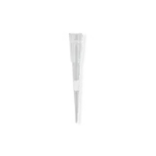 XCLUDA STYLE B TIP 960/BX FSD XTU