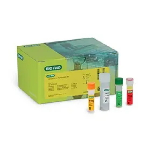 iQ-Check Salmonella Typhimurium Kit