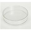 Piastre di Petri TC 100x21mm. polistirene trattato, sterili, apirogene (240 pz)