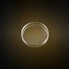 Piastre Petri per batteriologia Biocult diam. 90 mm, polistirene, ventilate asettiche (500 pz)