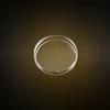 Piastre Petri per batteriologia Biocult diam. 90 mm, polistirene, ventilate sterili (550 pz)