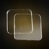 Piastre Petri per batteriologia Biocult quadrate dim. 120 x 120 mm, polistirene, ventilate sterili (180 pz)