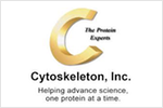 Cytoskeletron