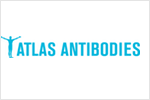 Atlas antibodies